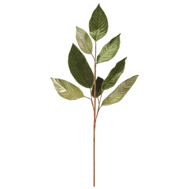 31" Shimmering Velvet Magnolia Green/Gold Leaf Stem