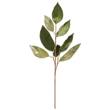 31" Shimmering Velvet Magnolia Green/Gold Leaf Stem