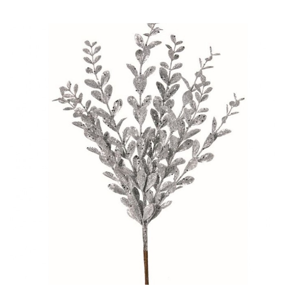 Silver Pittisporum Spray