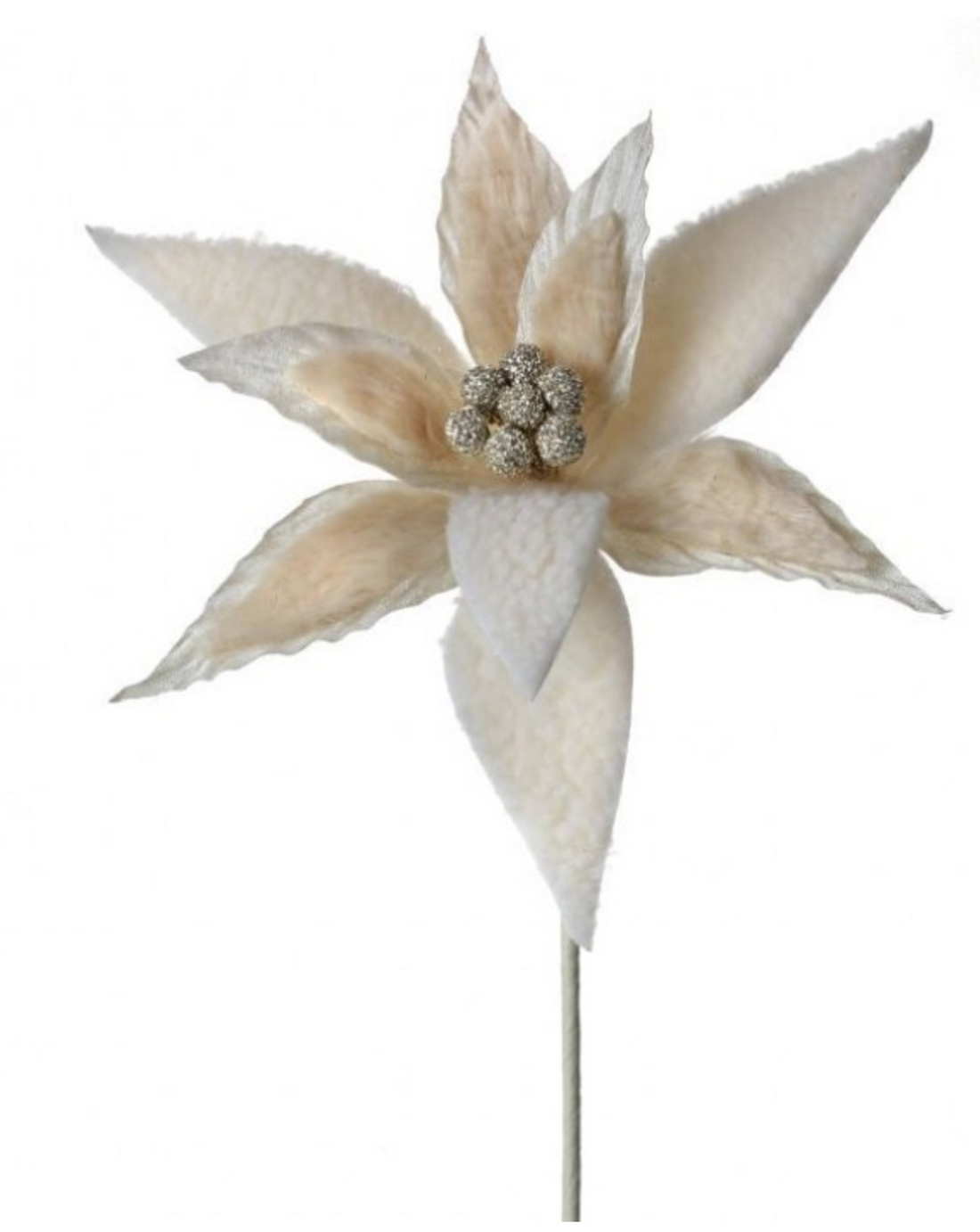 24" Natural/Cream Poinsettia with Faux Fur