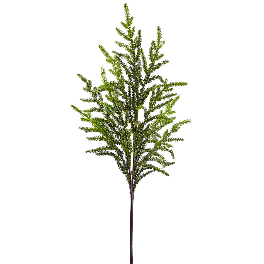 Fir Spray