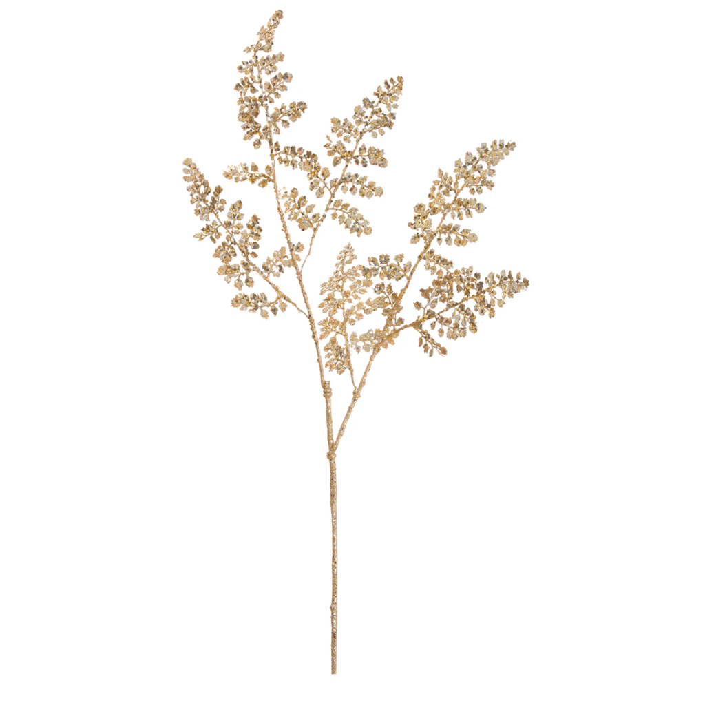 Gold Maiden Hair Fern