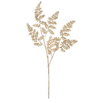 Gold Maiden Hair Fern