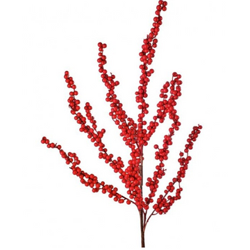 Berry Red Cluster Branch