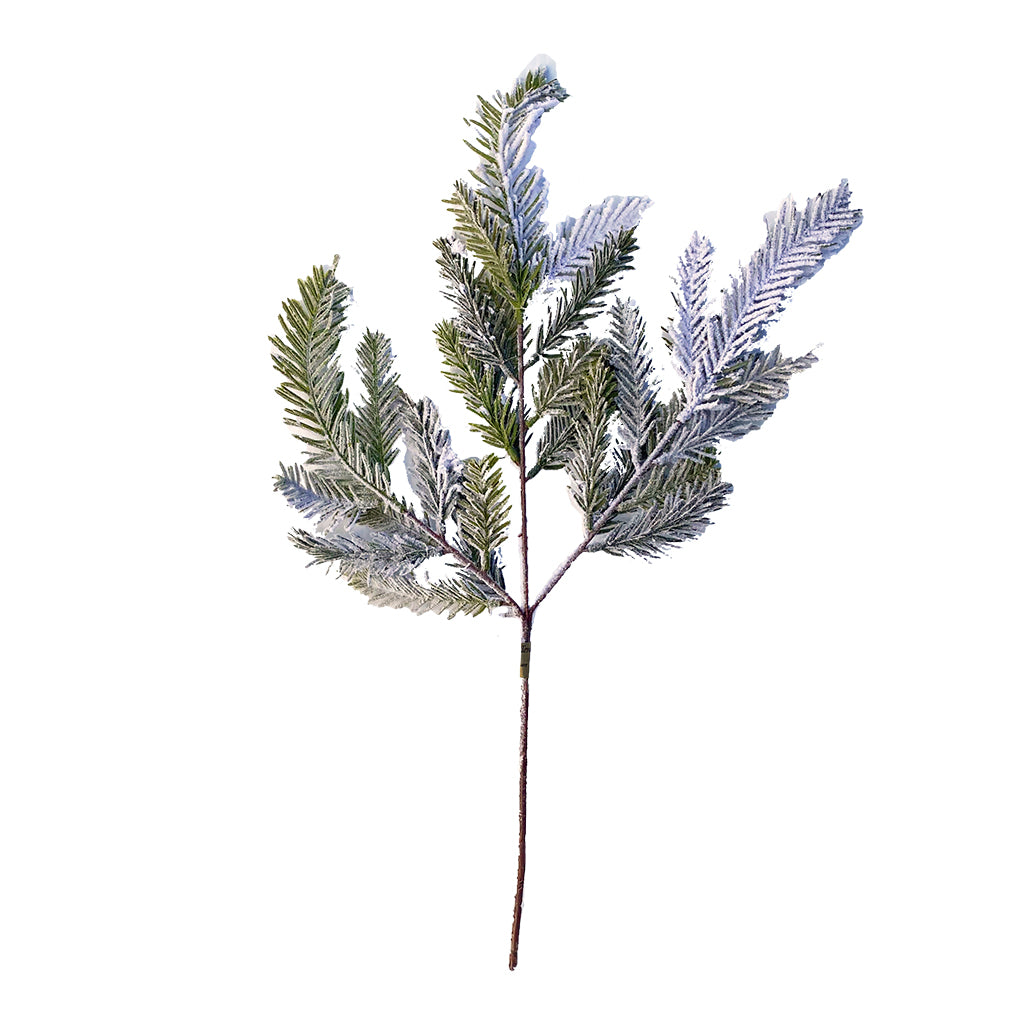 Frosted Cypress Spray