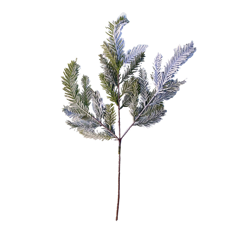 Frosted Cypress Spray