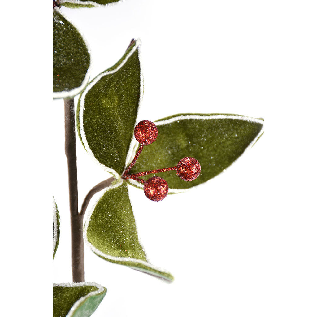 Holly Stem in Velvet