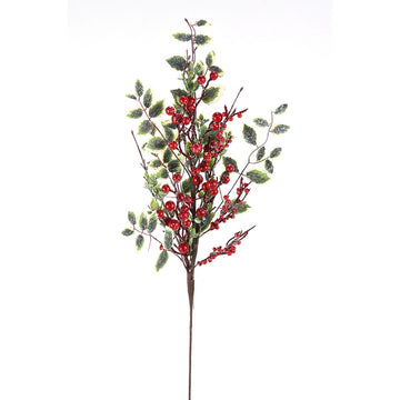 Red Berries With A Touch of Holly