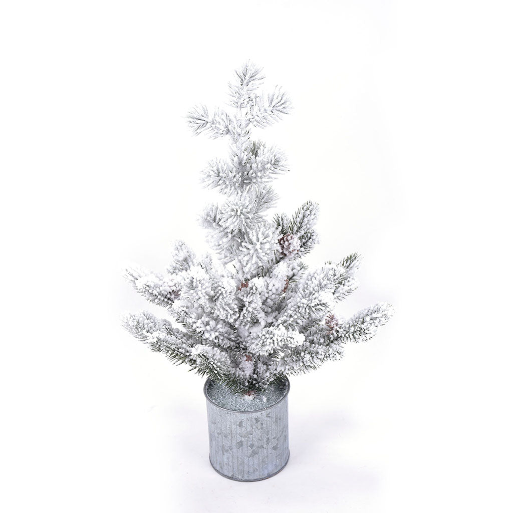 Small Frosted Pine Tree