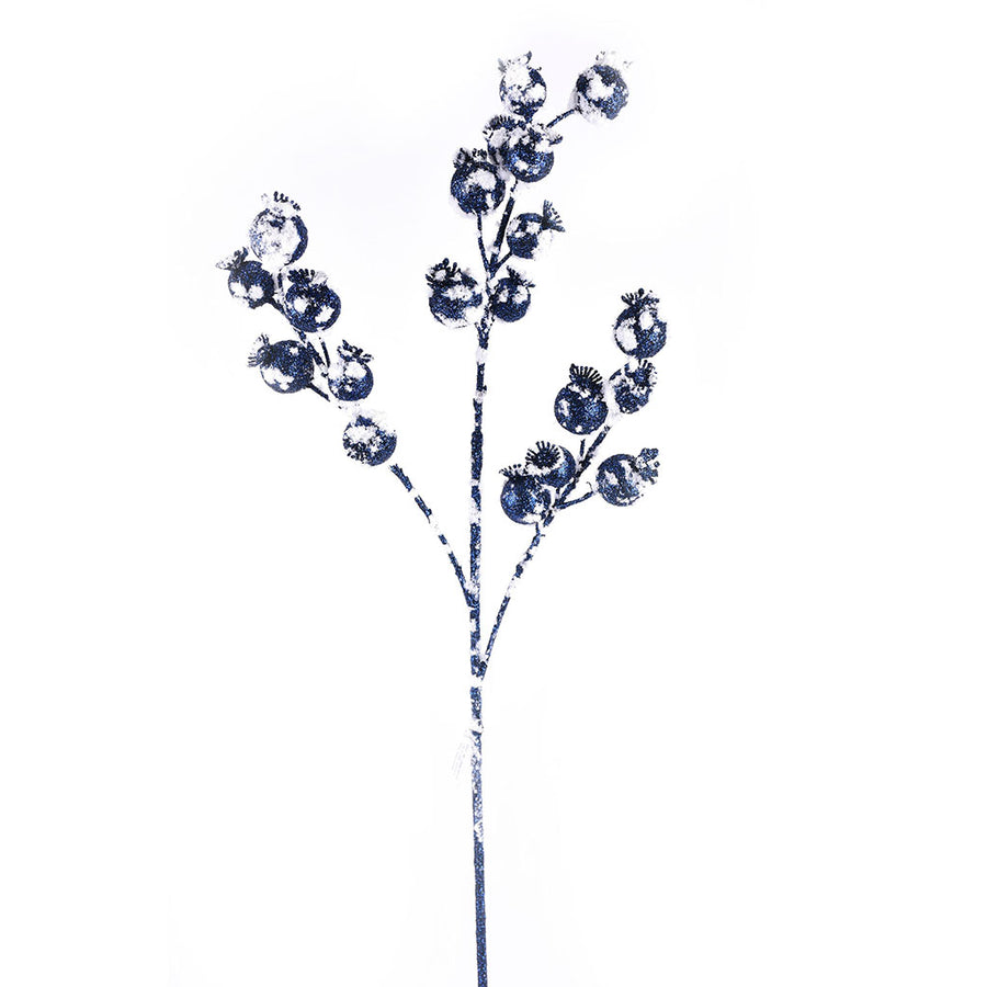 Blue and White Stem