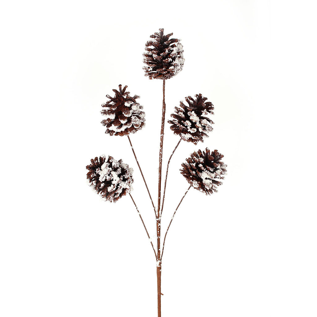 Pinecone Spray