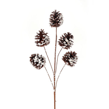 Pinecone Spray
