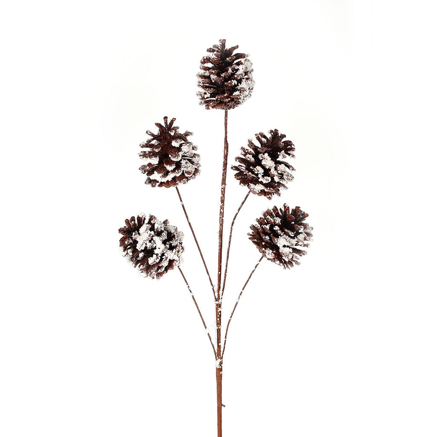Pinecone Spray