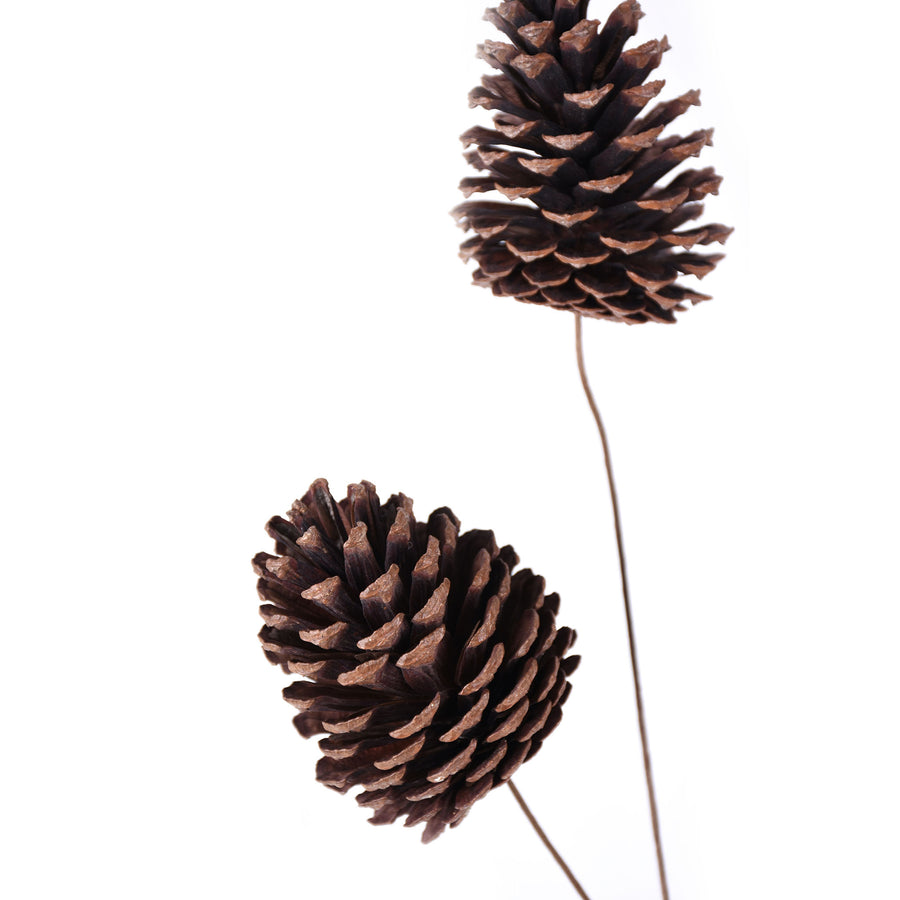 Pinecone Branch