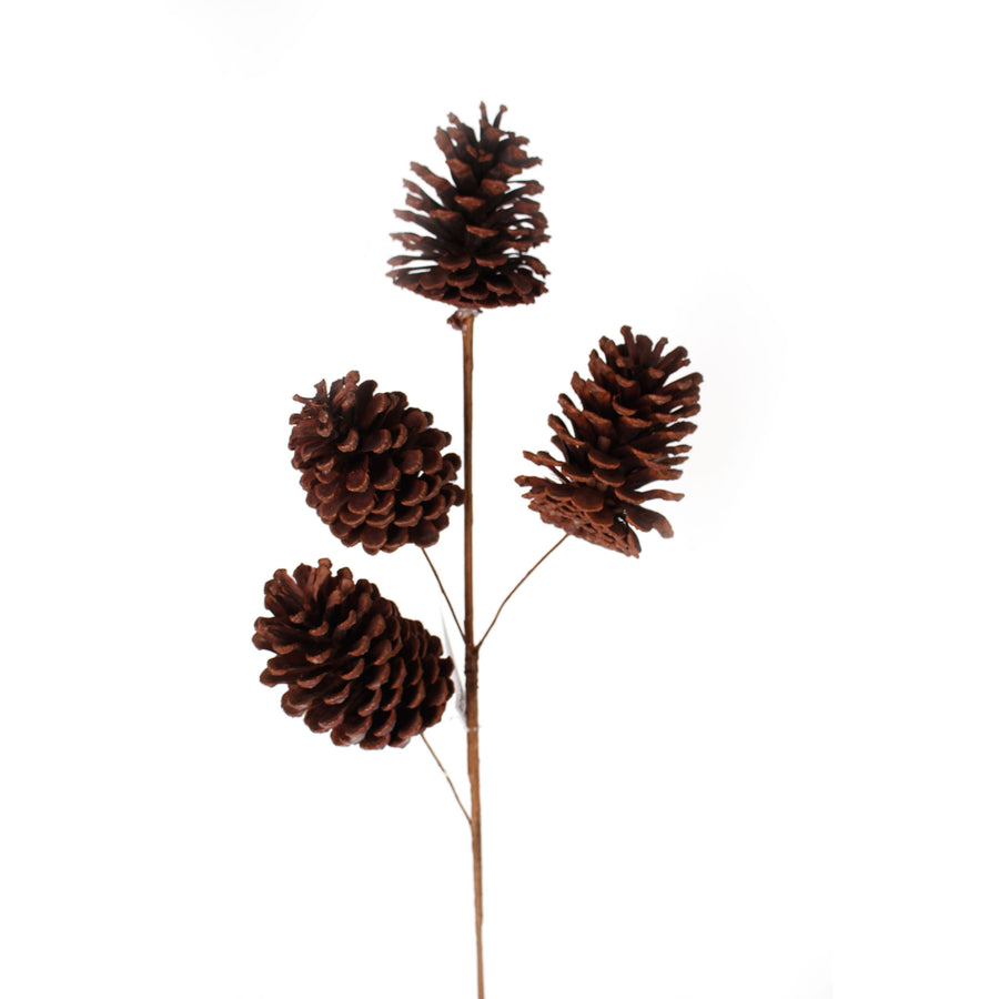 Pinecone Branch