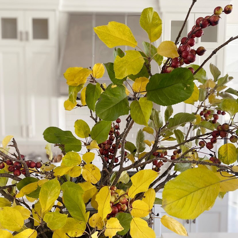Fall Crabapple Spray