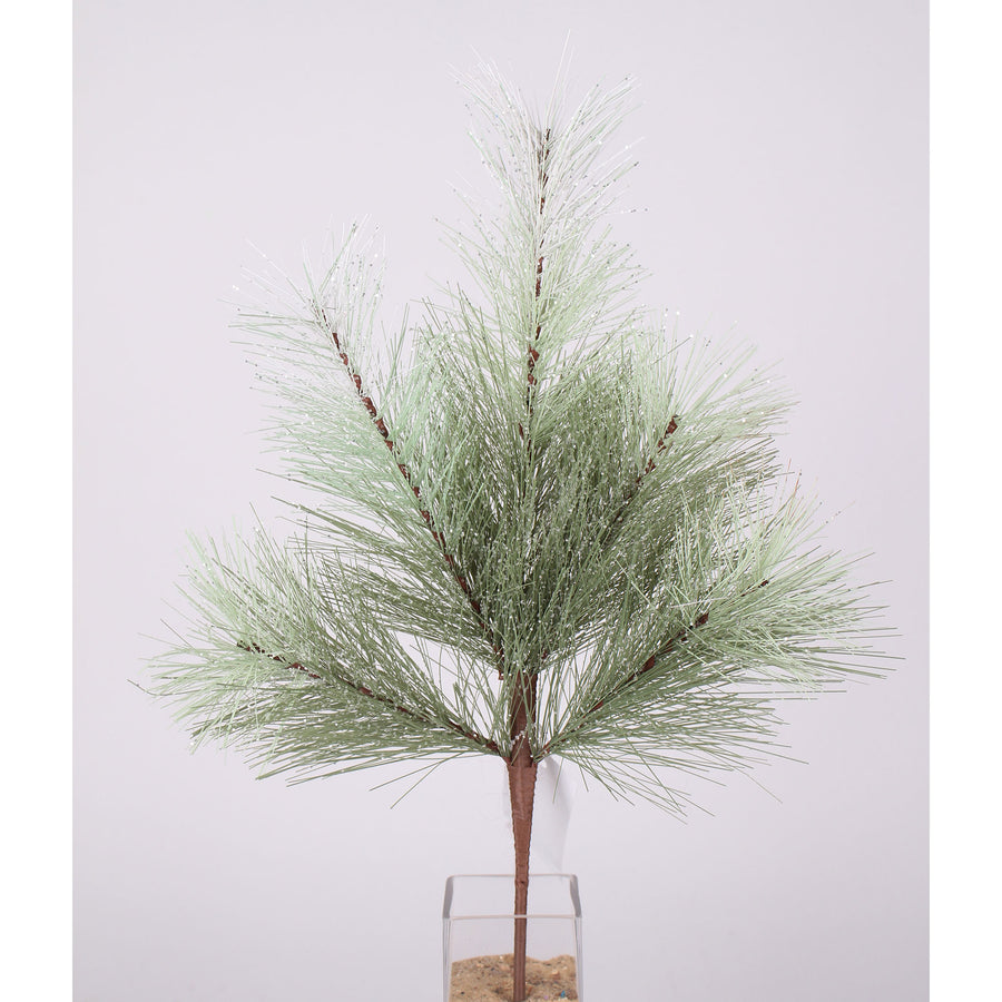 Ombre Pine Branch