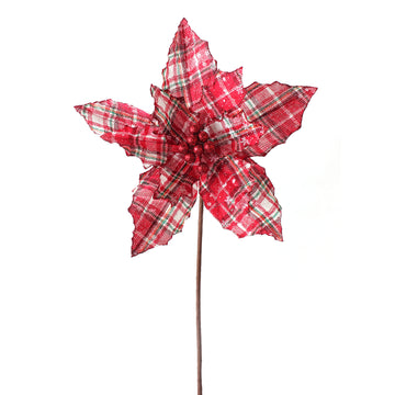 Red Plaid Poinsettia
