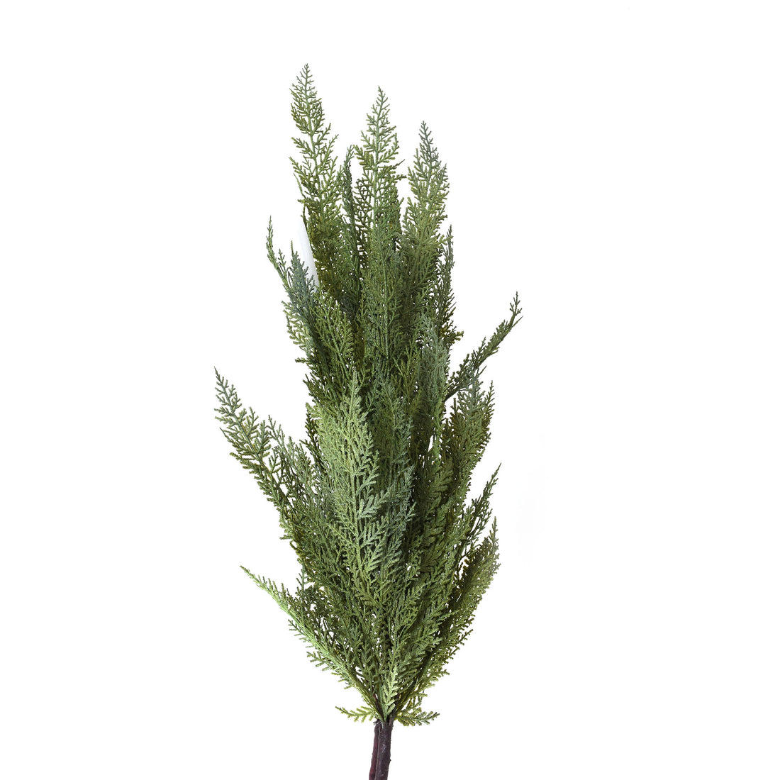 Flowing Branch
