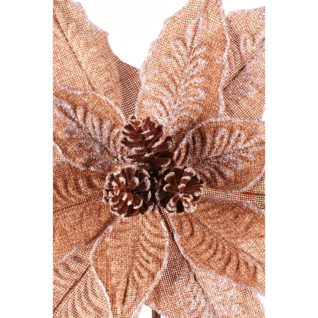 Natural Poinsettia