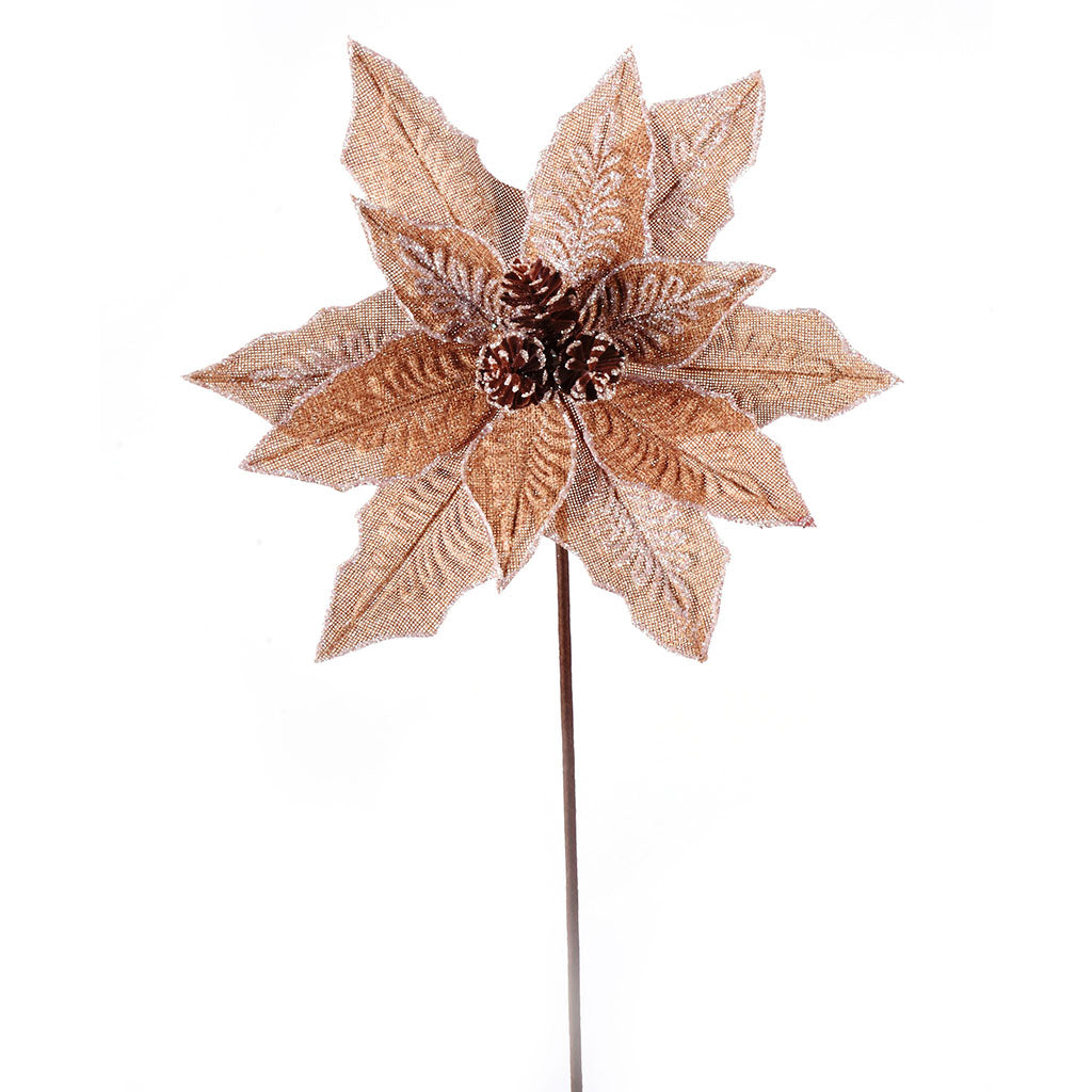 Natural Poinsettia