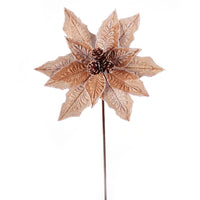 Natural Poinsettia