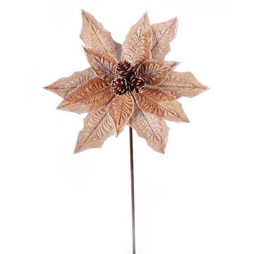 Natural Poinsettia