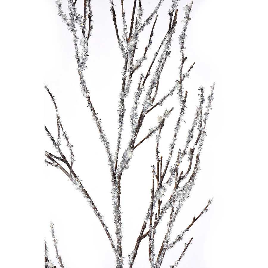 Iced Branch
