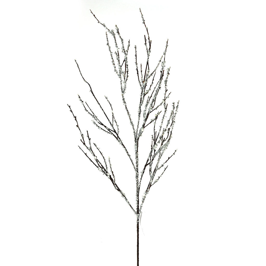 Iced Branch
