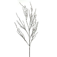 Iced Branch