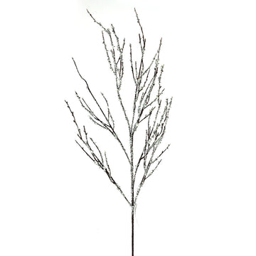 Iced Branch