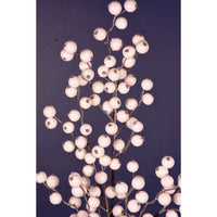 Ivory Berry Spray