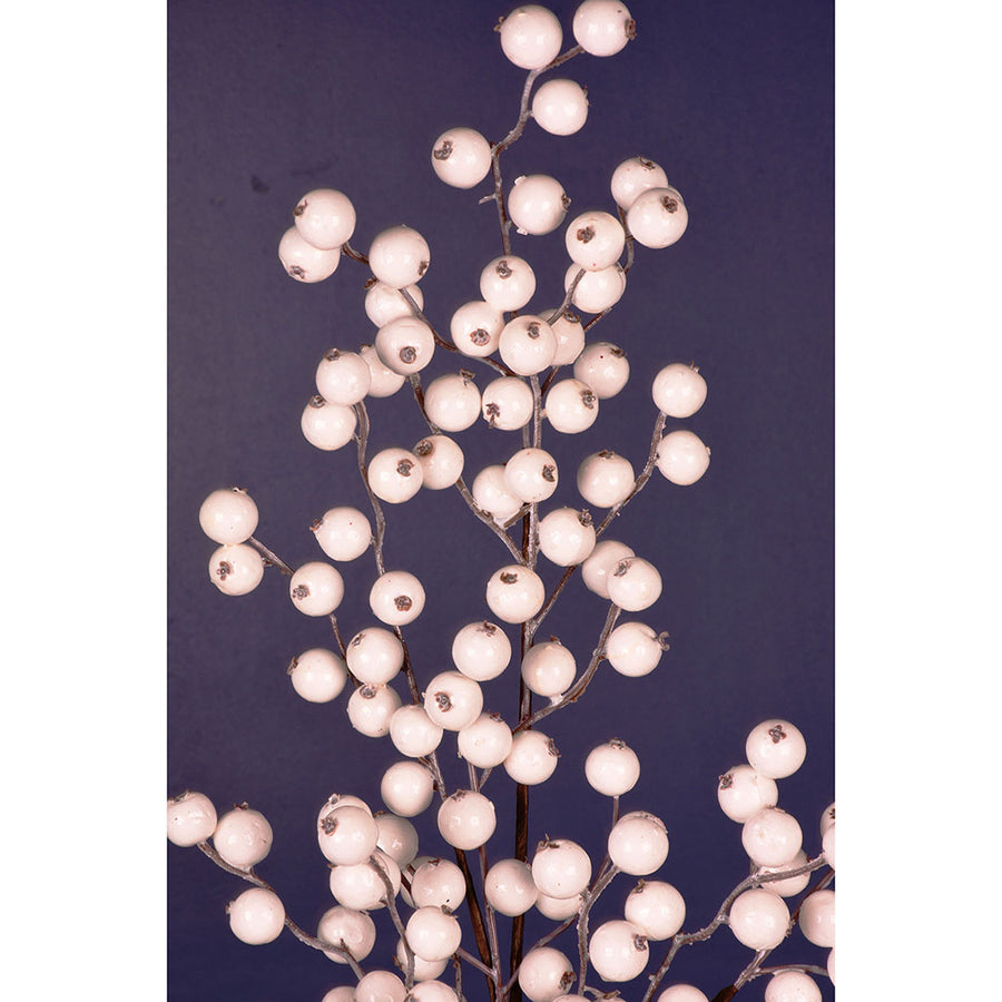 Ivory Berry Spray