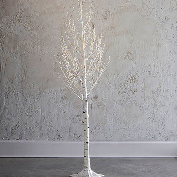7' Large Aspen Tree
