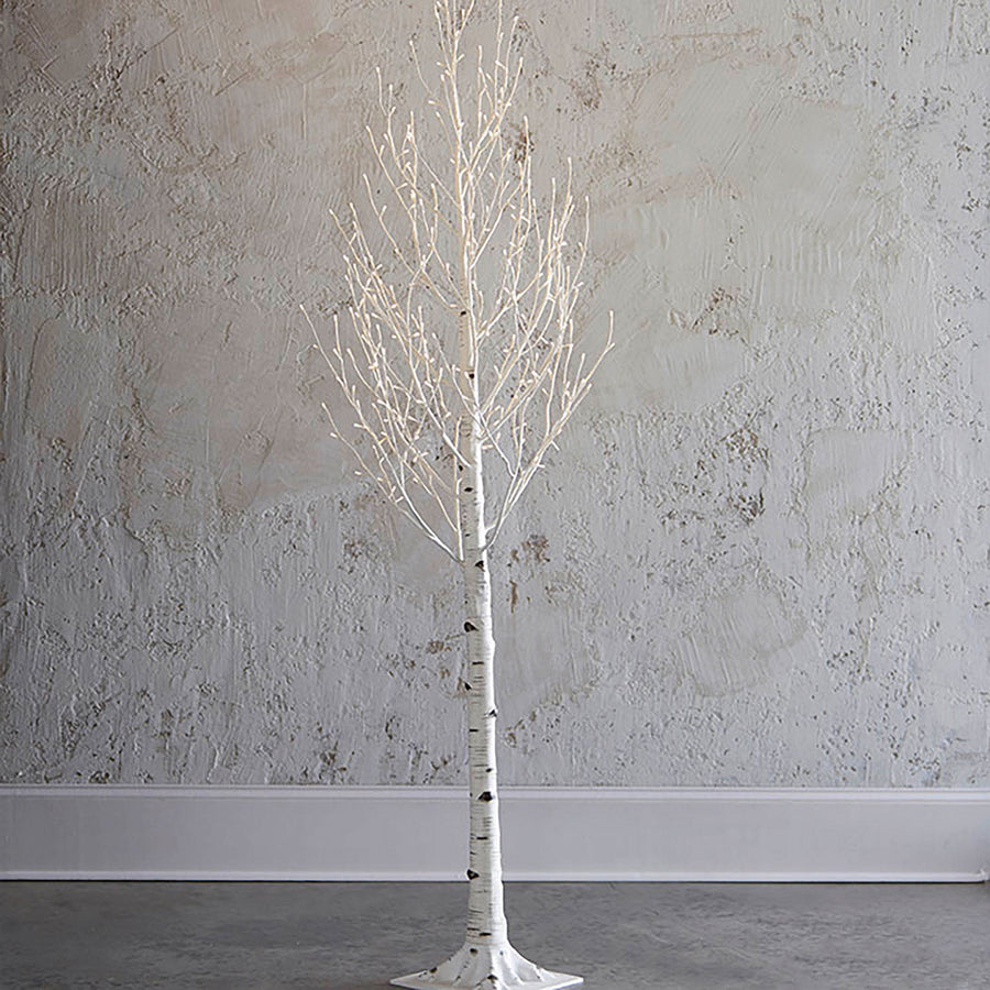 7' Large Aspen Tree