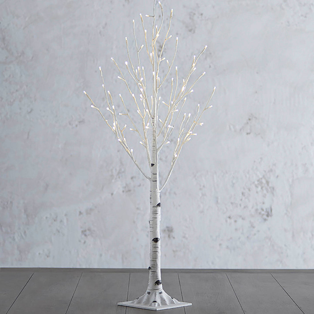 3.5' Small Aspen Tree