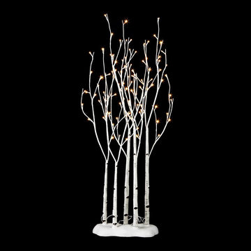 4' Medium Aspen Grove of Trees