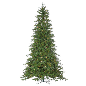 7.5' Nordman Fir Tree