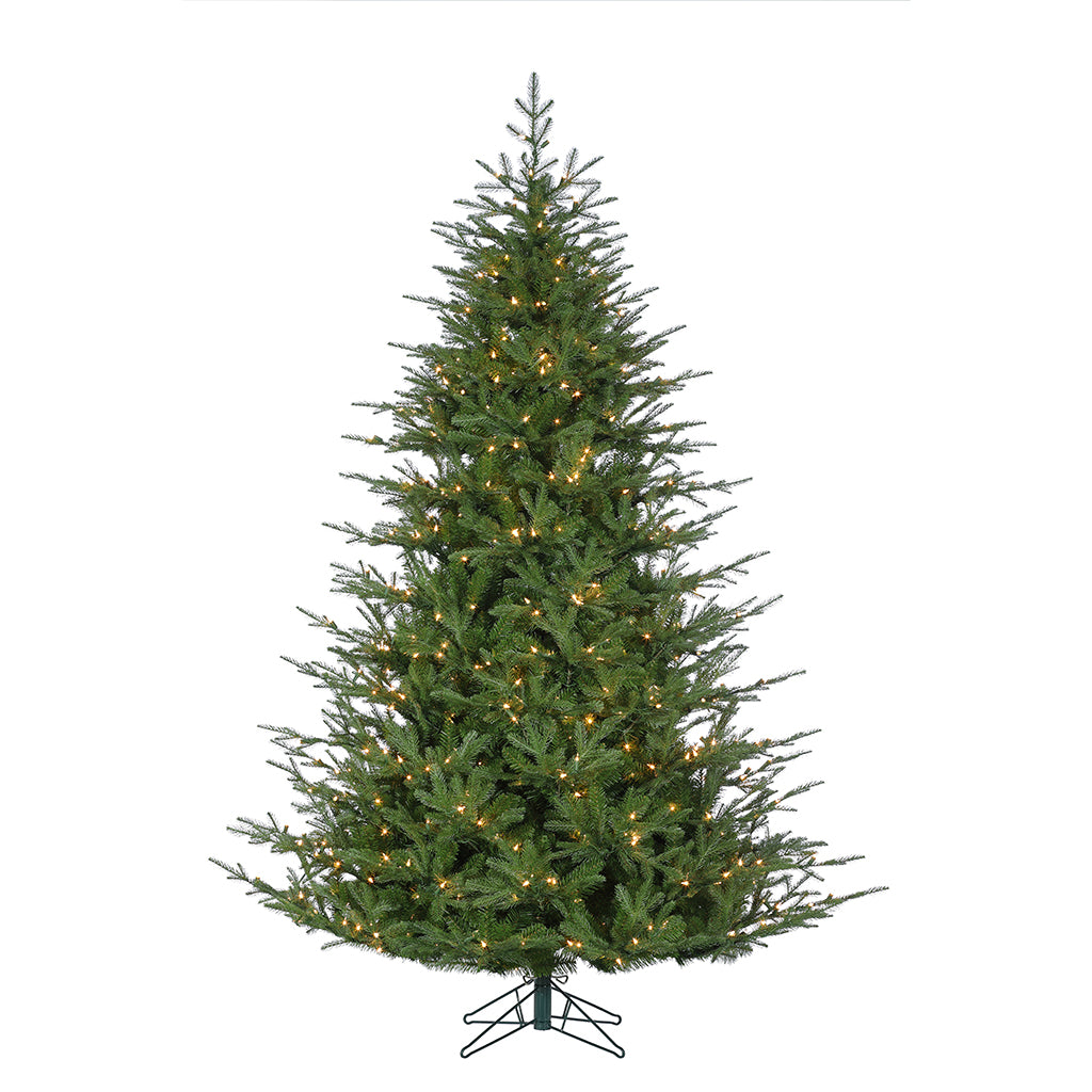 7.5' Fairfield Frasier Fir Tree