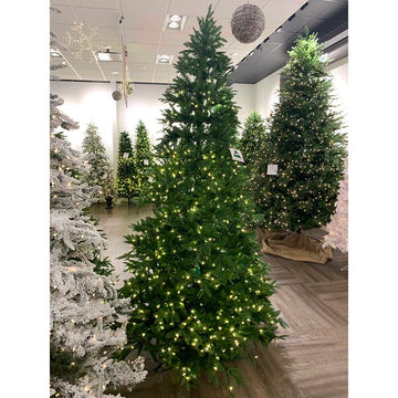9' Nordman Fir Tree