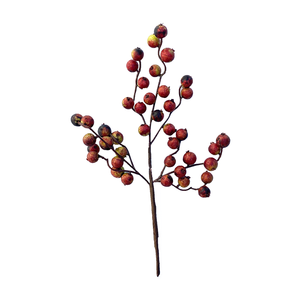 Fall Crabapple Spray