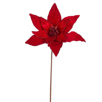 Red Poinsettia Stem
