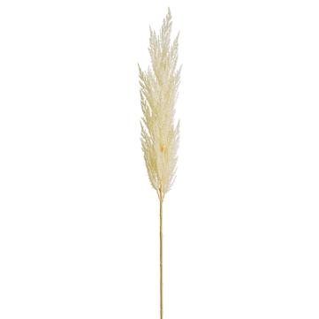 Cream Pampas Grass