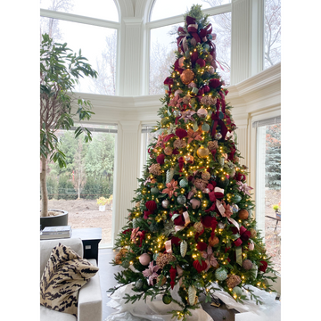 12' Nordman Fir Tree