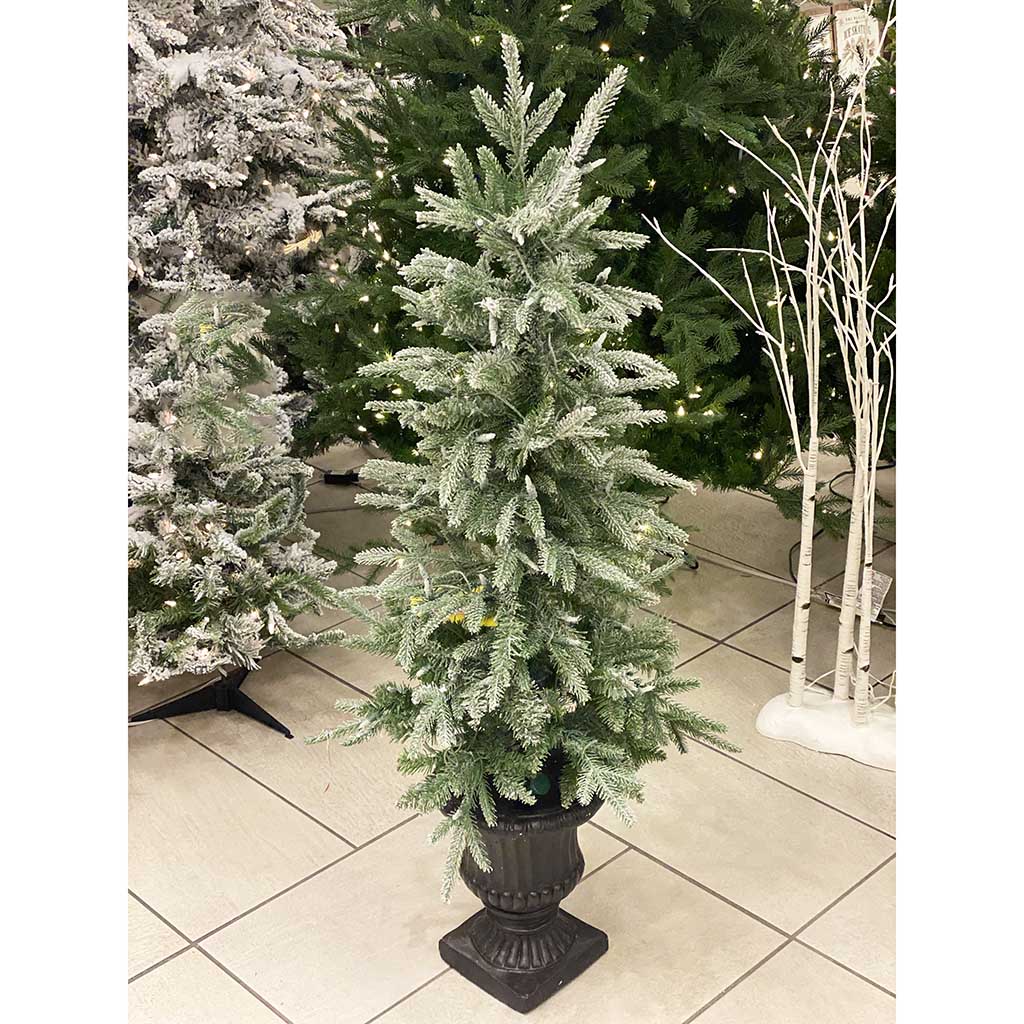 4' Canyon Lightly Flocked Tree in Urn