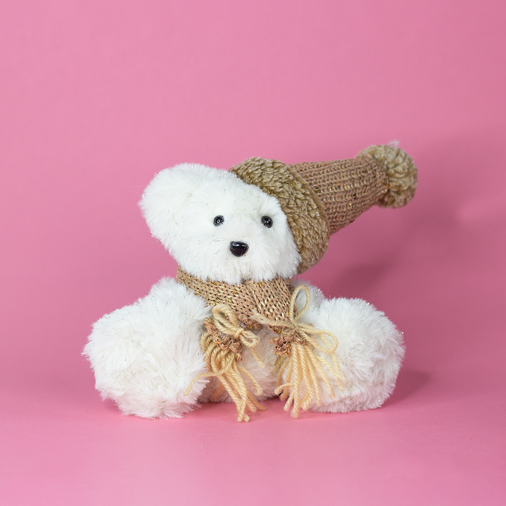 White Teddy Bear with Beanie