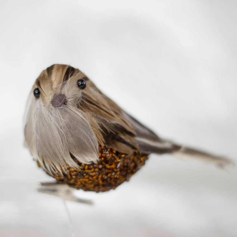 Copper Jeweled Bird
