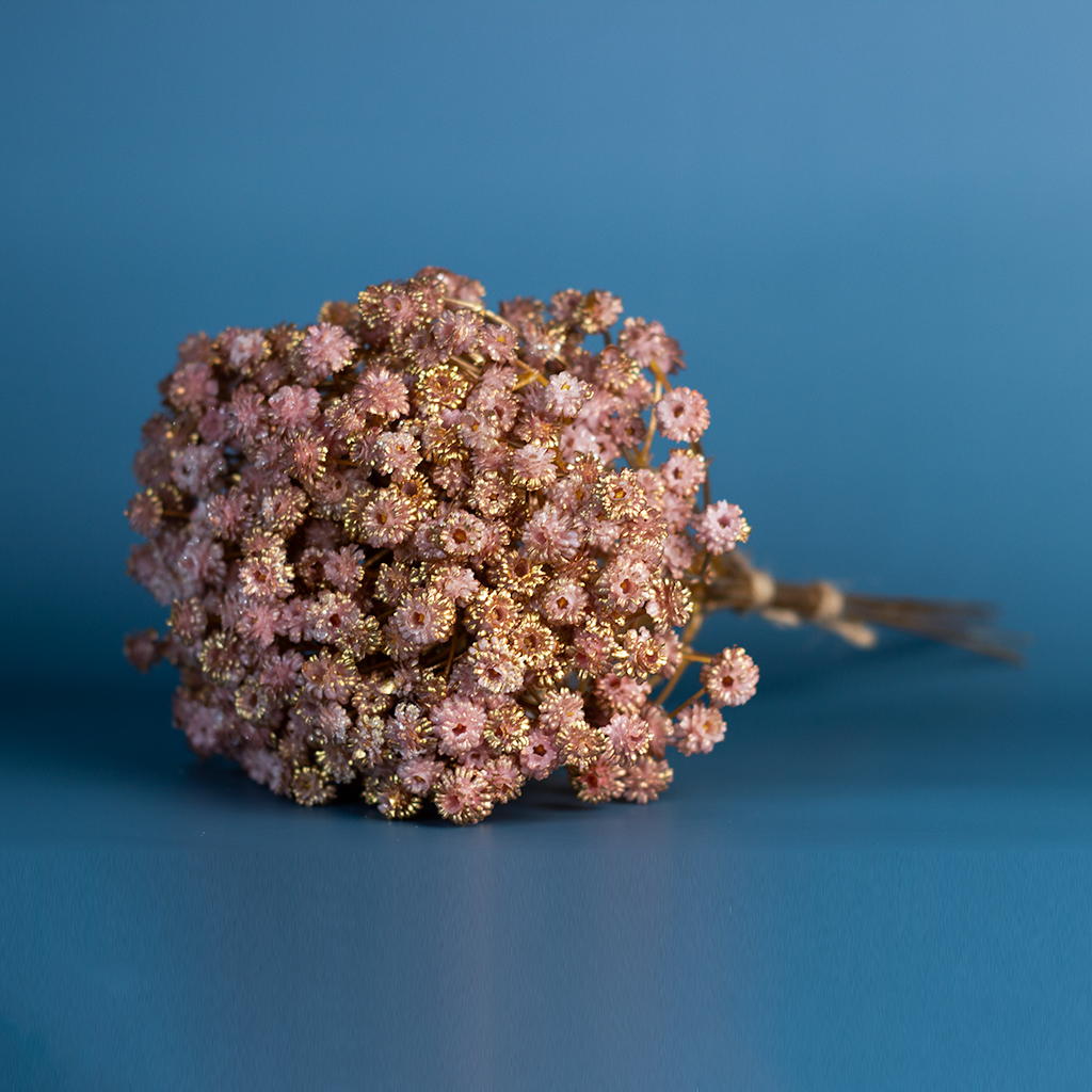 Blush Baby's Breath Bunch