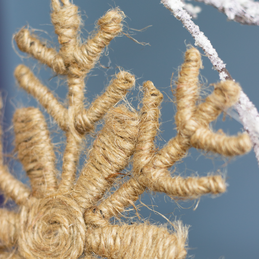 Natural Snowflake Ornament