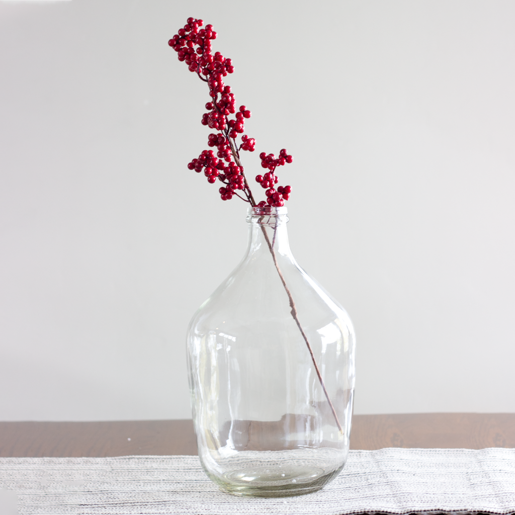 Winter Red Berry Branch